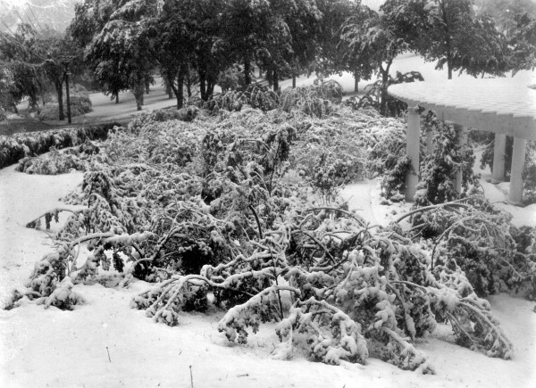 Blizzard: 1947